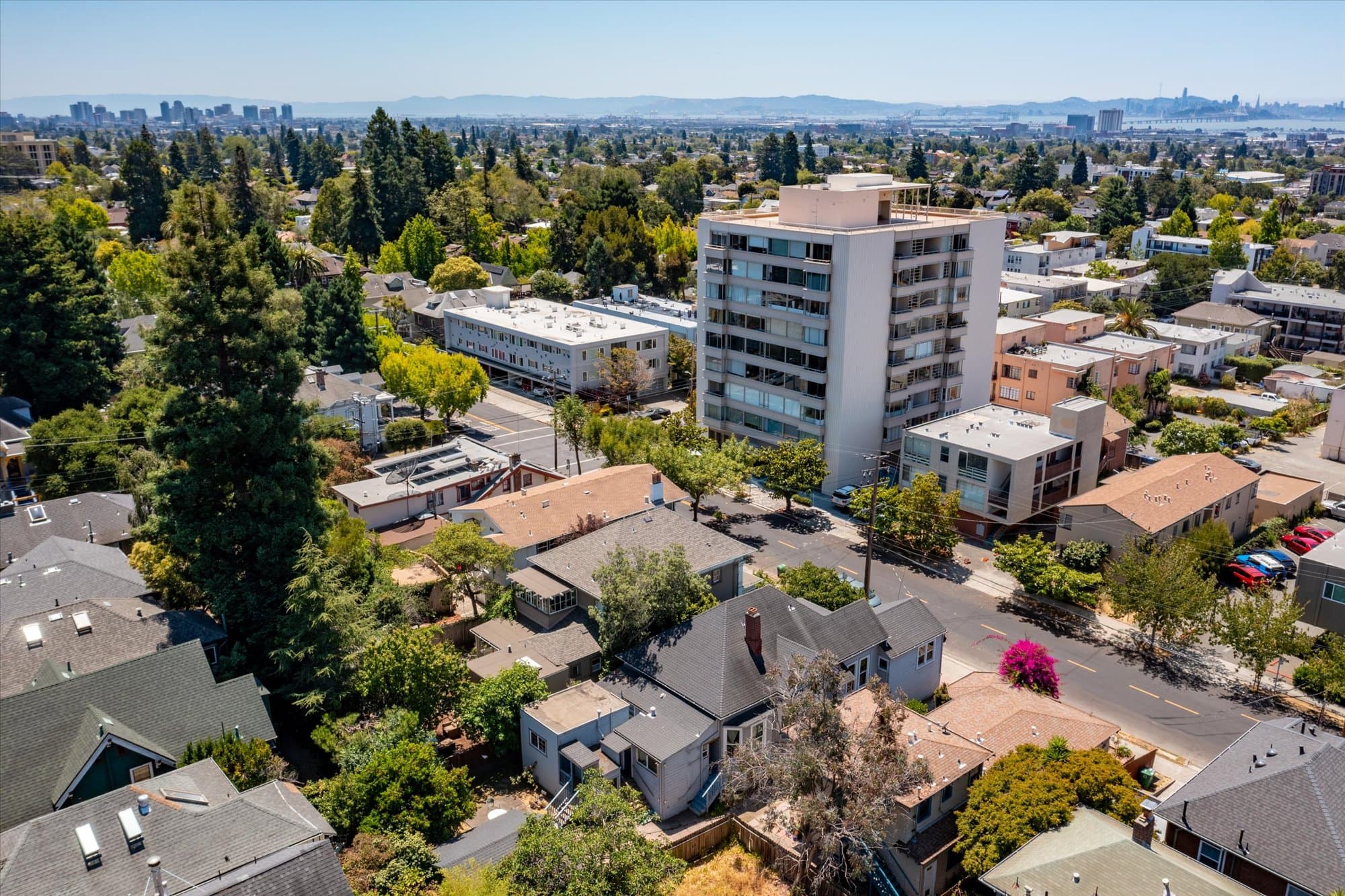 2531 Dana Street - 3 - df1813c3dc3e4b36af7c6558e69c4f36.jpg