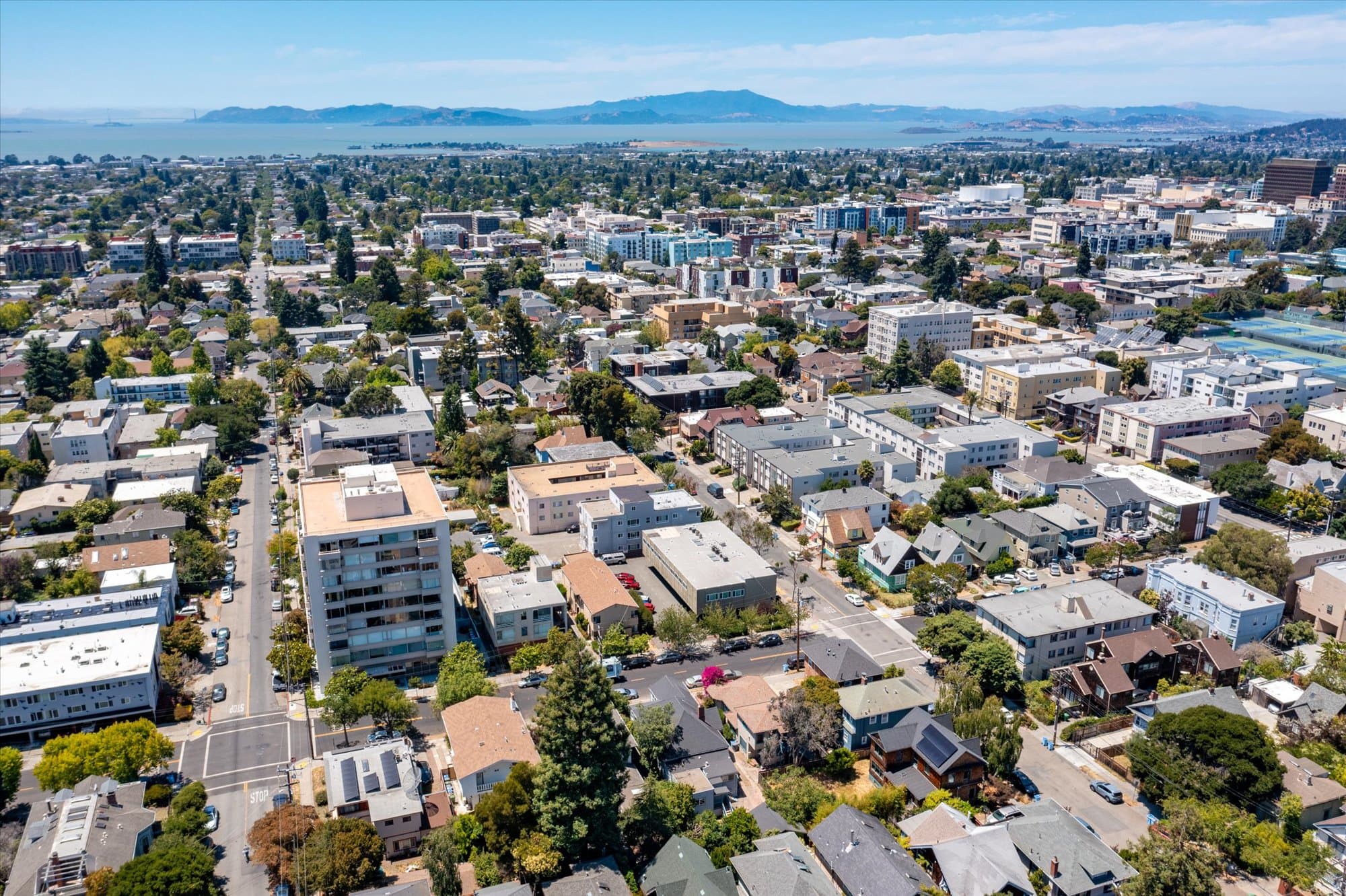 2531 Dana Street - 3 - f42709538ae14837b0bc34d156fddbd6.jpg